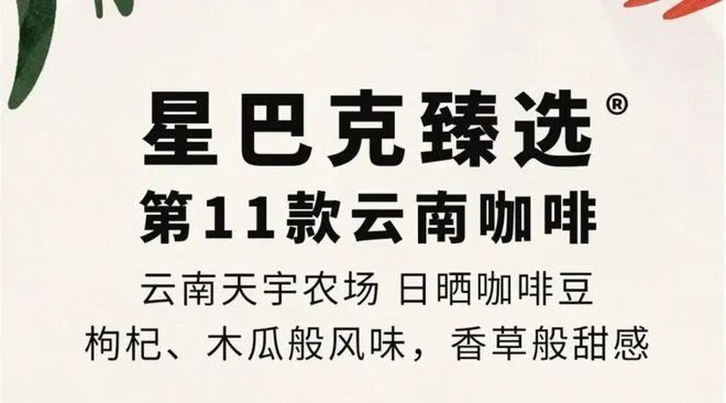 啡：彩云之南的馥郁传奇开元棋牌app云南咖(图3)