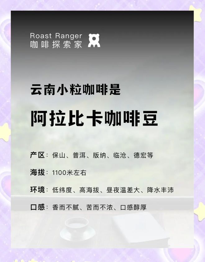 啡：彩云之南的馥郁传奇开元棋牌app云南咖(图21)