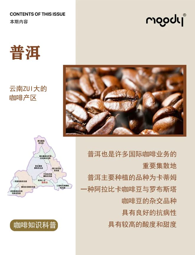 啡：彩云之南的馥郁传奇开元棋牌app云南咖(图22)